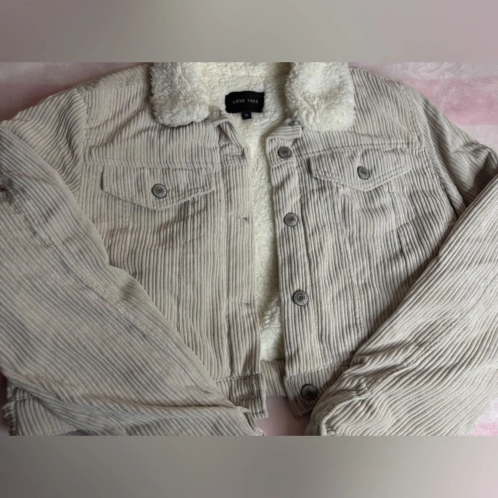 Cream Corduroy Sherpa Cropped Barn Jacket - Picture 4 of 6